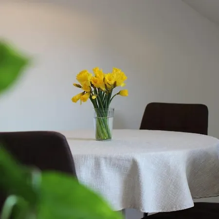 Theatre Attico Teatro Apartment Merano
