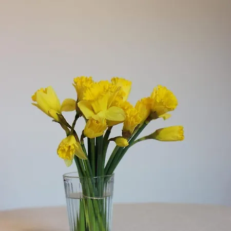 Theatre Attico Teatro Apartamento