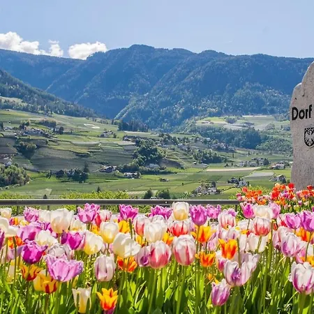 Theatre Attico Teatro Merano