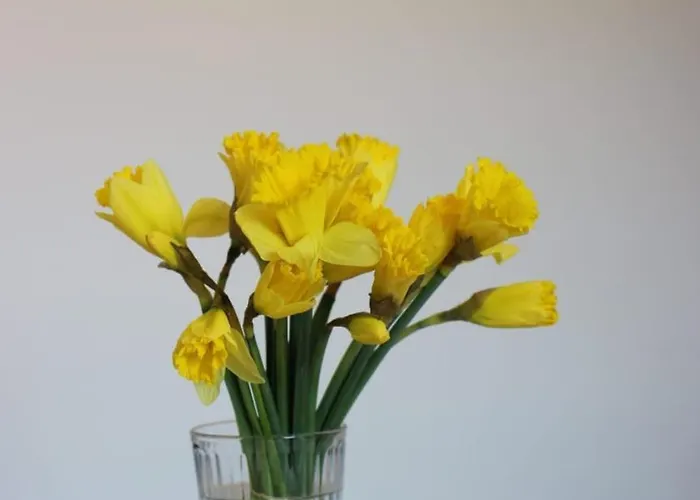 Theatre Attico Teatro Apartment