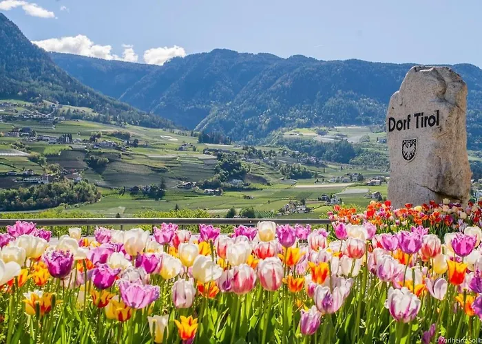 Theatre Attico Teatro Merano